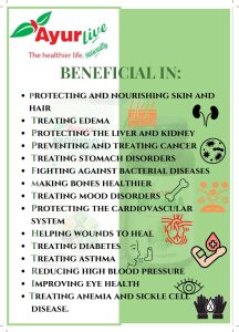 Moringa Capsules – Rich in Antioxidants & Nutrients