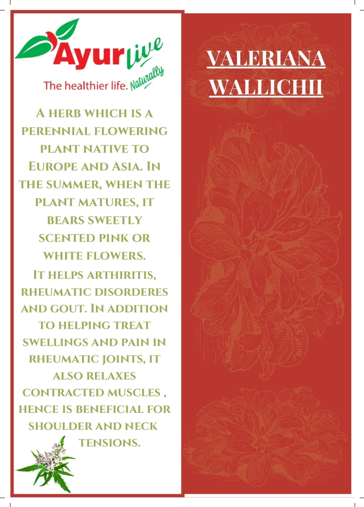 Valeria Oil (1)_page-0004 Oil for Joint & Muscle Relaxation